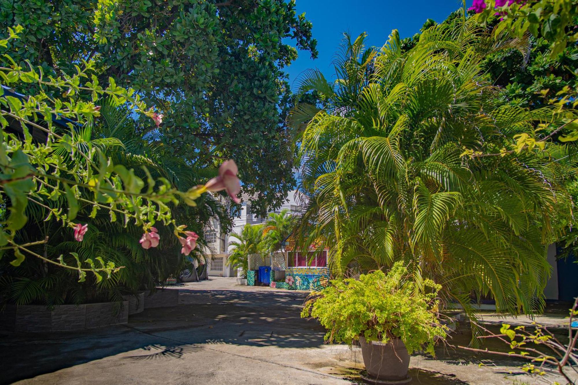 Alojamiento San Martin San Andres  Exterior photo
